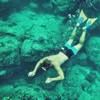 andrew_troester